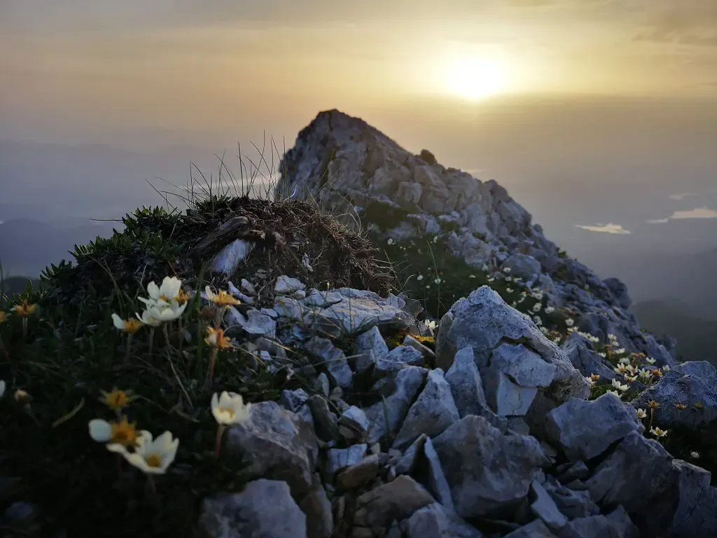 Sonnenaufgang beim Trailrunning – neue Perspektiven als Vater und Unternehmer